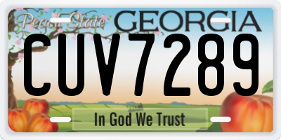 GA license plate CUV7289