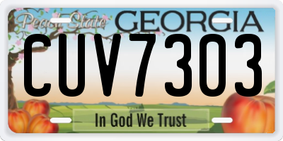 GA license plate CUV7303