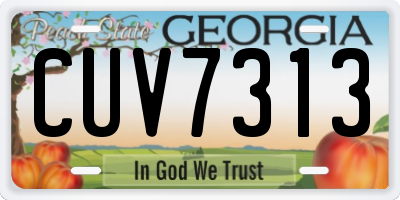 GA license plate CUV7313