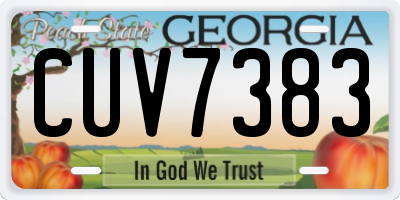 GA license plate CUV7383