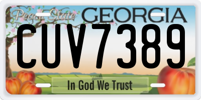 GA license plate CUV7389
