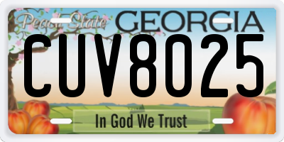GA license plate CUV8025
