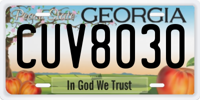 GA license plate CUV8030