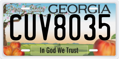 GA license plate CUV8035