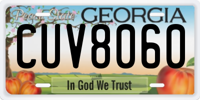 GA license plate CUV8060