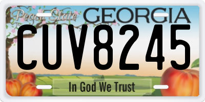 GA license plate CUV8245