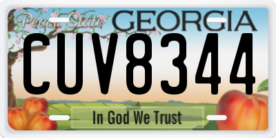 GA license plate CUV8344
