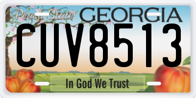 GA license plate CUV8513