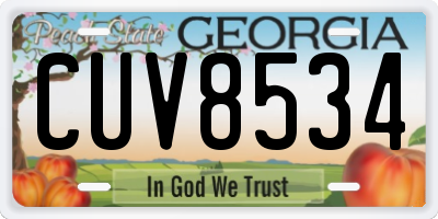 GA license plate CUV8534