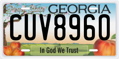 GA license plate CUV8960