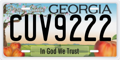 GA license plate CUV9222