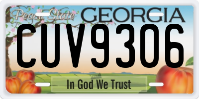 GA license plate CUV9306
