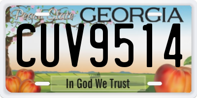 GA license plate CUV9514