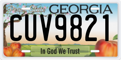 GA license plate CUV9821