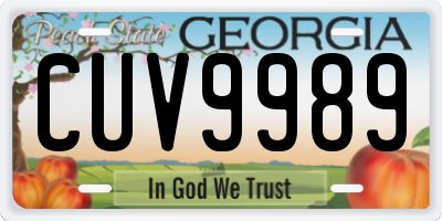 GA license plate CUV9989