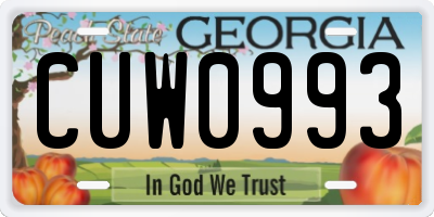 GA license plate CUW0993