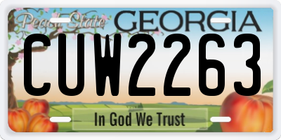 GA license plate CUW2263