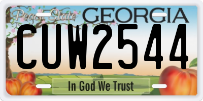 GA license plate CUW2544