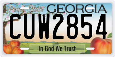 GA license plate CUW2854