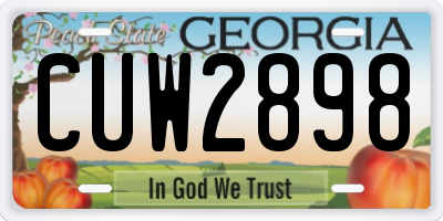 GA license plate CUW2898