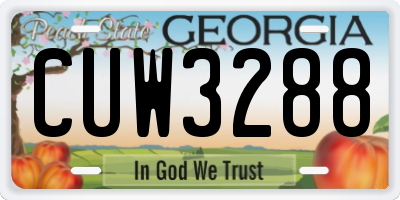 GA license plate CUW3288