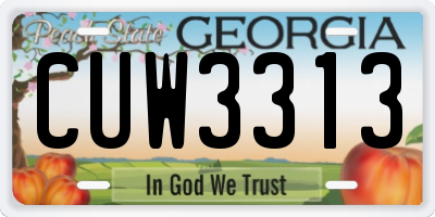 GA license plate CUW3313