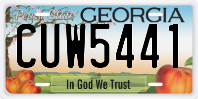 GA license plate CUW5441