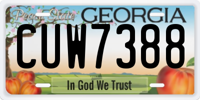 GA license plate CUW7388