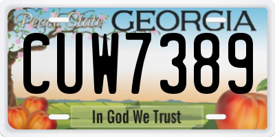 GA license plate CUW7389