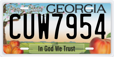GA license plate CUW7954