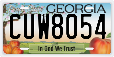 GA license plate CUW8054