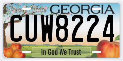 GA license plate CUW8224