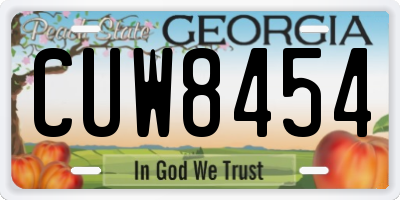 GA license plate CUW8454