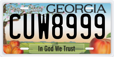 GA license plate CUW8999