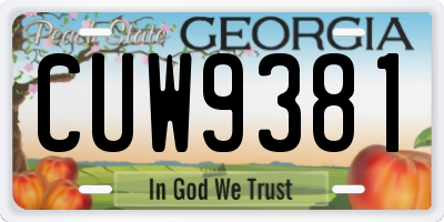 GA license plate CUW9381