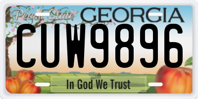 GA license plate CUW9896
