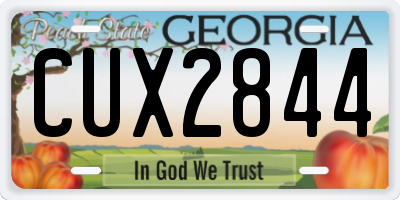 GA license plate CUX2844