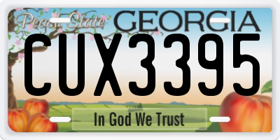 GA license plate CUX3395