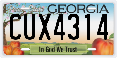 GA license plate CUX4314