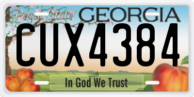 GA license plate CUX4384