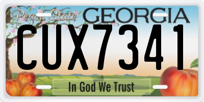 GA license plate CUX7341