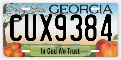 GA license plate CUX9384