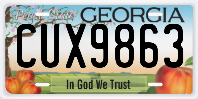 GA license plate CUX9863