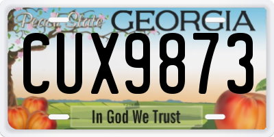 GA license plate CUX9873
