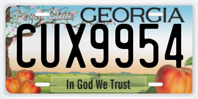 GA license plate CUX9954