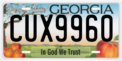 GA license plate CUX9960