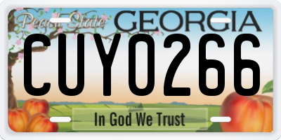GA license plate CUY0266