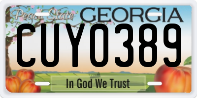 GA license plate CUY0389