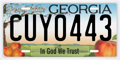GA license plate CUY0443
