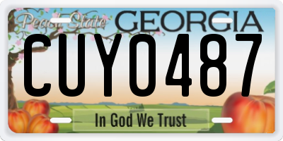 GA license plate CUY0487